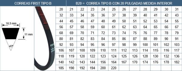 Correas  B 125 .(125" Int X 16.5Mm ) - Imagen 3