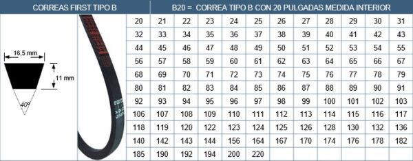 Correas  B 128 .(128" Int X 16.5Mm ) - Imagen 3