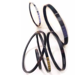 Correas  C 146 .(146" Int X 22 Mm. )