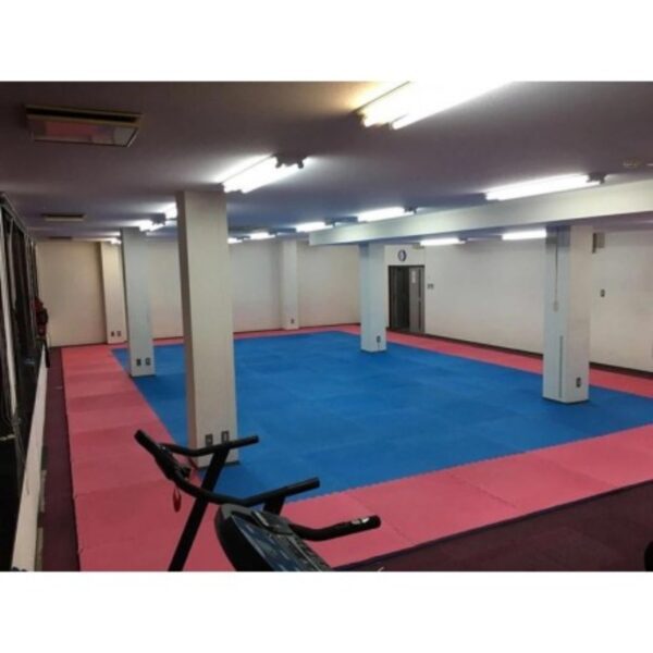 Piso Plancha Eva Tatami 20X1000X1000Mm Azul/Rojo C/Ensamble - Imagen 3