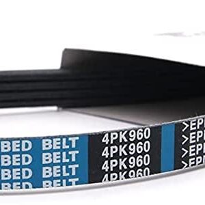 Correas   5Pk-1080 Dongil