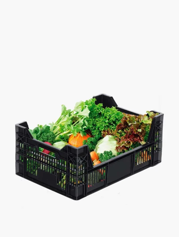 Caja Bulbo Wen Pe L2 Negro - Imagen 3