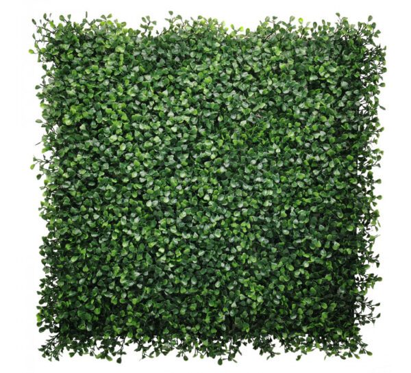 Jardin Vertical Cochamo - Imagen 3