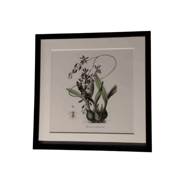 Cuadro Decorativo40*40 - Imagen 2