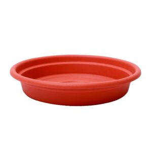 Plato Dura Kotta Redonda #14 Diametro 35Cm Terracota