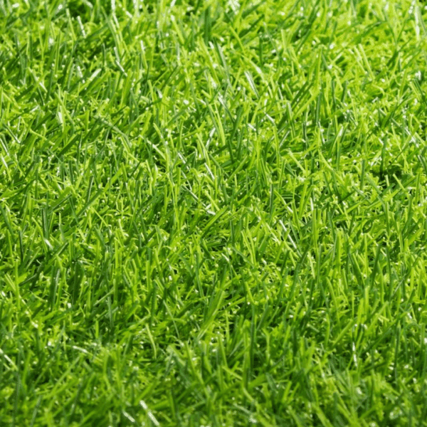 Pasto Sintético Basic  25 Mm X 2 Mts Ancho ( 50M2)(R25Mts)