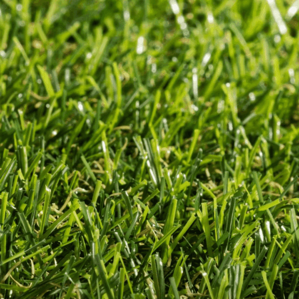 Pasto Sintético Basic Prime 25 Mm X 2 Mts Ancho (50M2)(R 25 Mts)