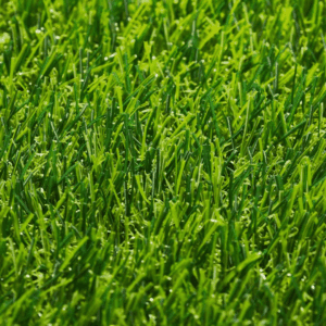 Pasto Sintético Vivo 40 Mm X 2 Mts Ancho (50M2)(R 25Mts)