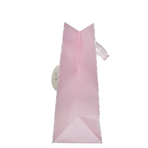 Bolsa De Regalo  Grande Femenino - Imagen 2